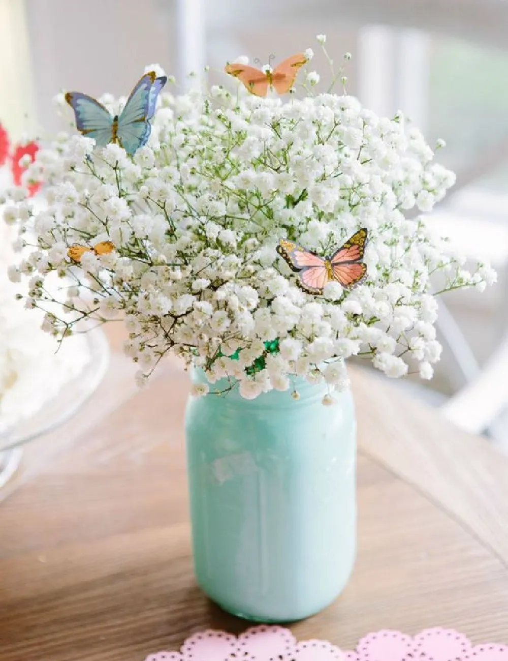 hoa baby là hoa gì