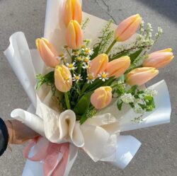 bó hoa tulip màu cam đẹp