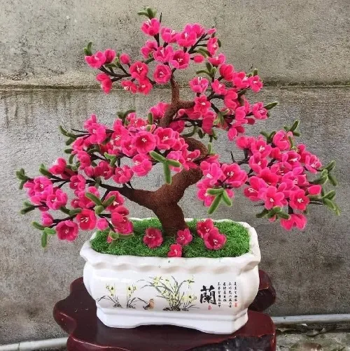 mua hoa kẽm nhung tphcm
