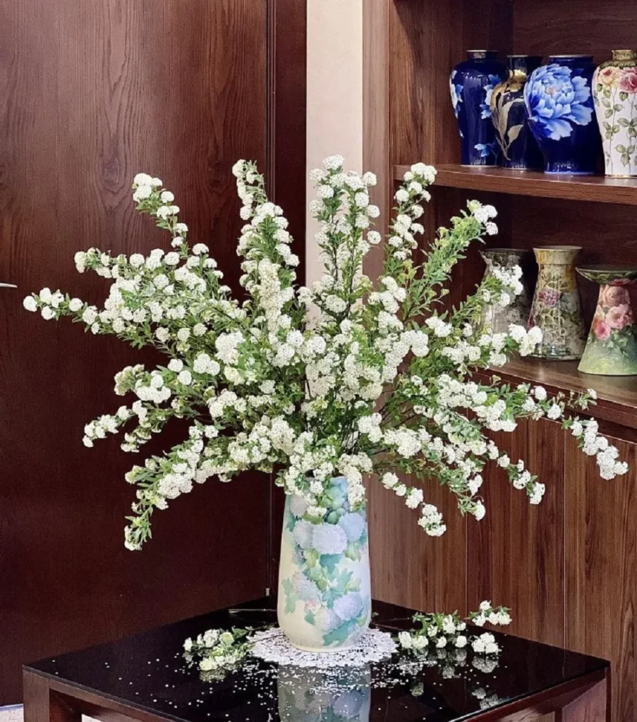 hoa tieu tu cau 5 Hoa tiểu tú cầu giá bao nhiêu?