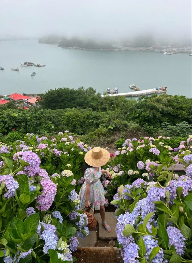 cây ra hoa quanh năm, hoa nở quanh năm