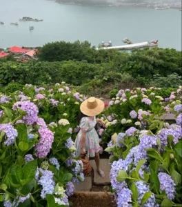 cây ra hoa quanh năm, hoa nở quanh năm