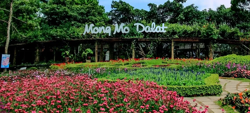 vuon hoa thanh pho da lat 1 vườn hoa thành phố Đà Lạt