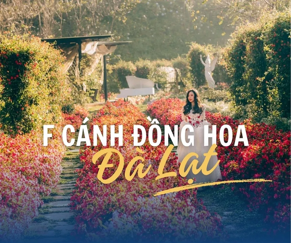 vuon hoa thanh pho da lat 3 Vườn hoa thành phố Đà Lạt