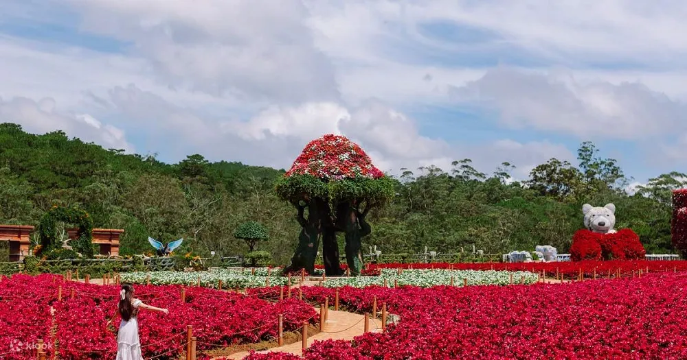 vuon hoa thanh pho da lat 4 Vườn hoa thành phố Đà Lạt