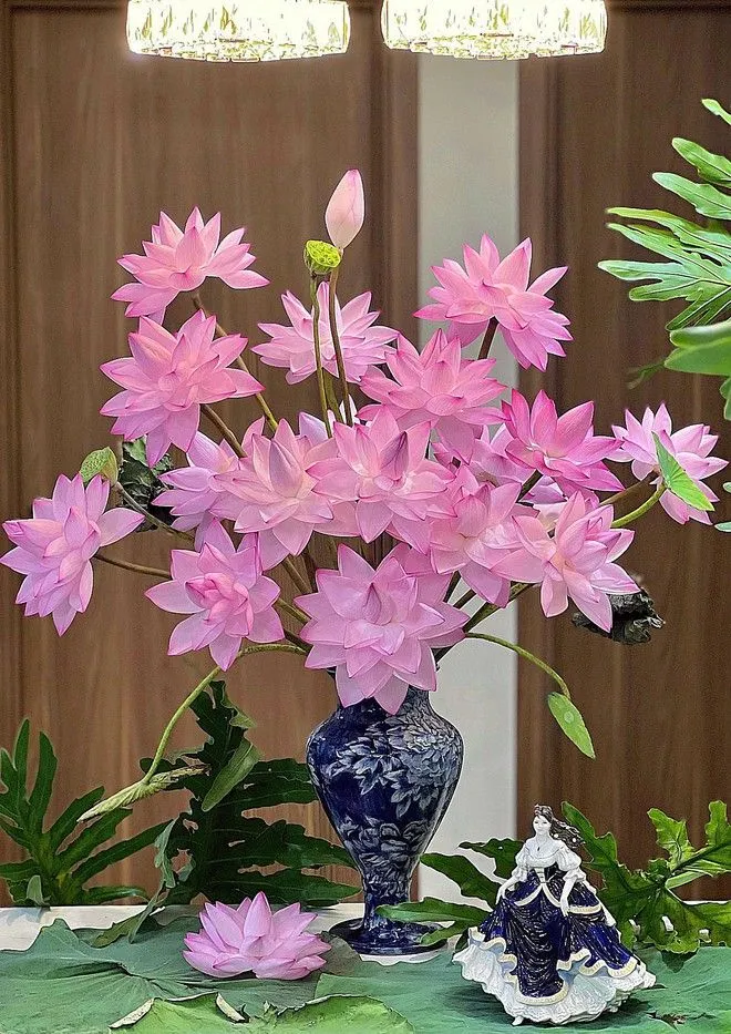 Phần cánh hoa sen nên có màu sắc đồng đều, không bị thâm, cháy mép