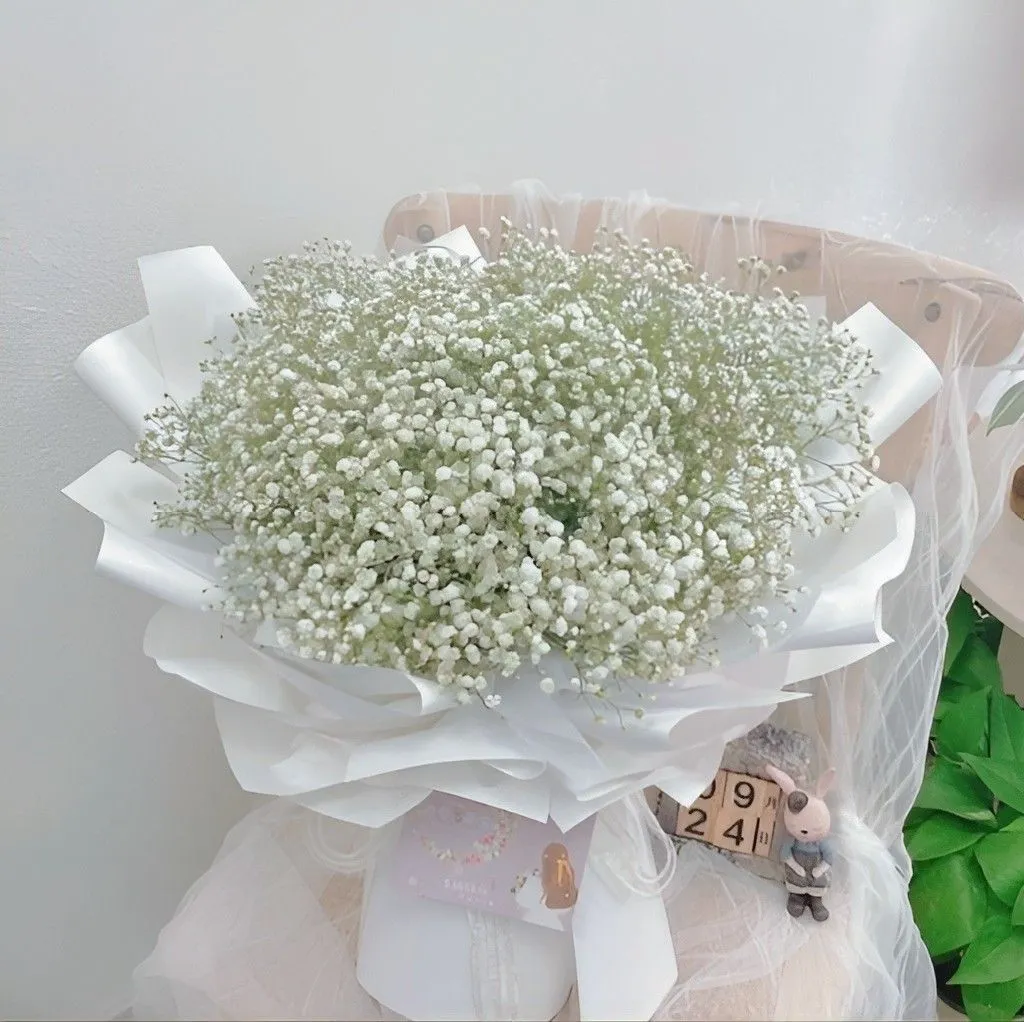 giá hoa baby khô mắc hơn hoa baby tươi do quá trình sấy khô