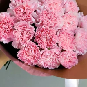 ý nghĩa hoa cẩm chướng tặng mẹ
