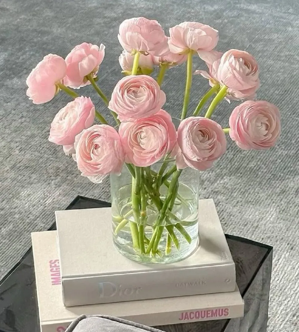 nguồn gốc hoa mao lương từ vùng địa trung hải