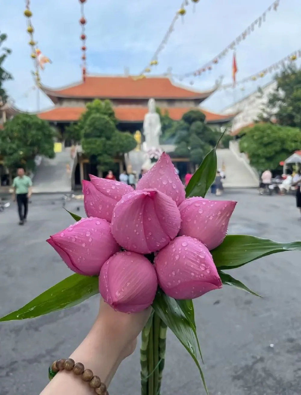 hoa sen thường xuất hiện trong các lễ Phật Đản, lễ Vu Lan, trên bàn thờ Phật, tranh Phật giáo