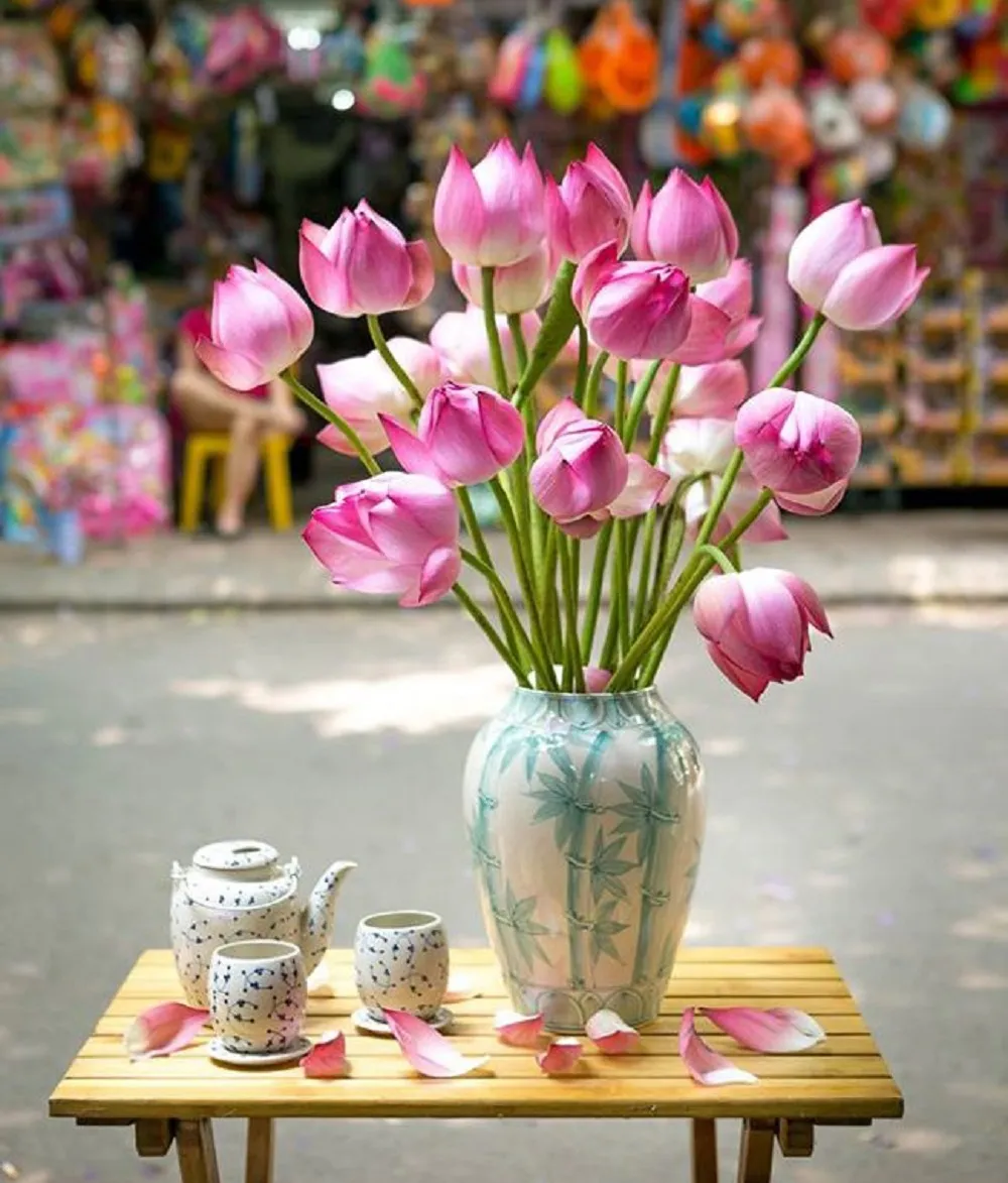 cần duy trì mực nước ổn định, bổ sung dinh dưỡng định kỳ và thường xuyên cho hoa sen