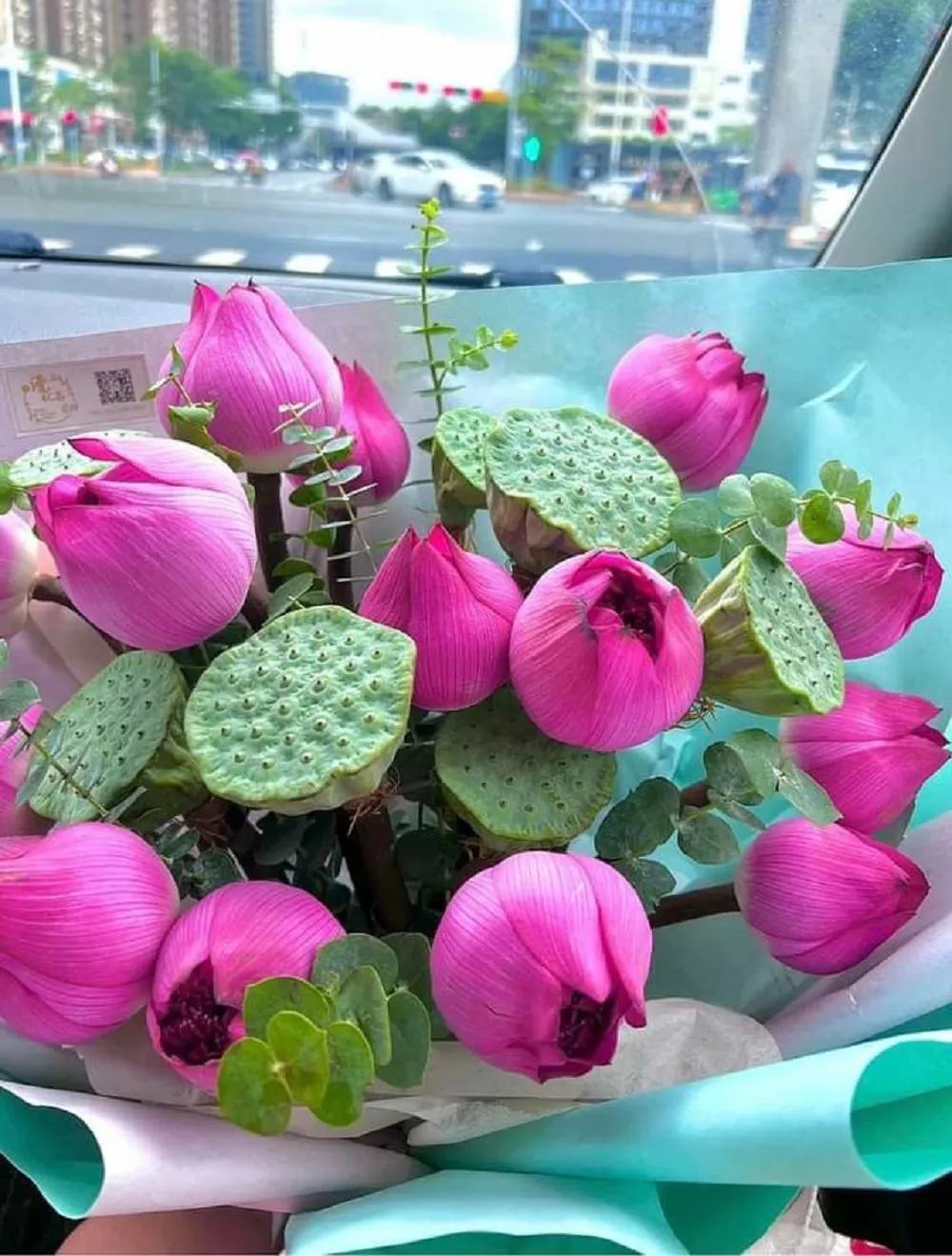 hình ảnh hoa sen đã trở thành biểu tượng của sự vượt lên nghịch cảnh