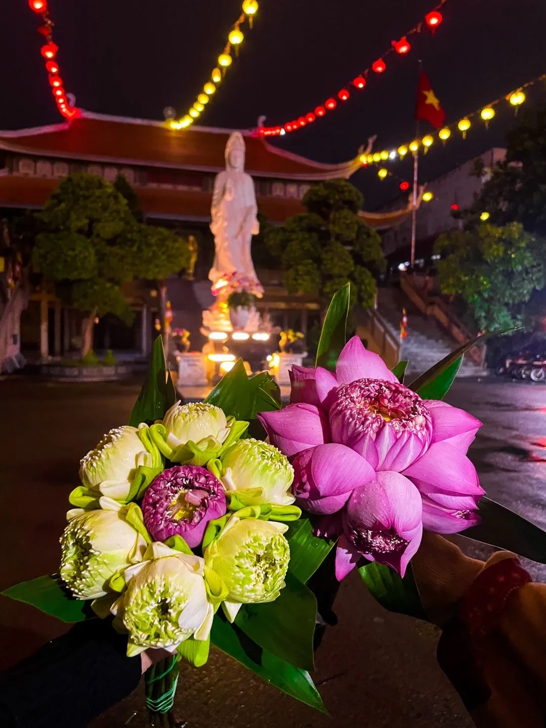 Ý nghĩa của hoa sen trong Phật giáo bắt nguồn từ đặc điểm sinh trưởng của loài cây này