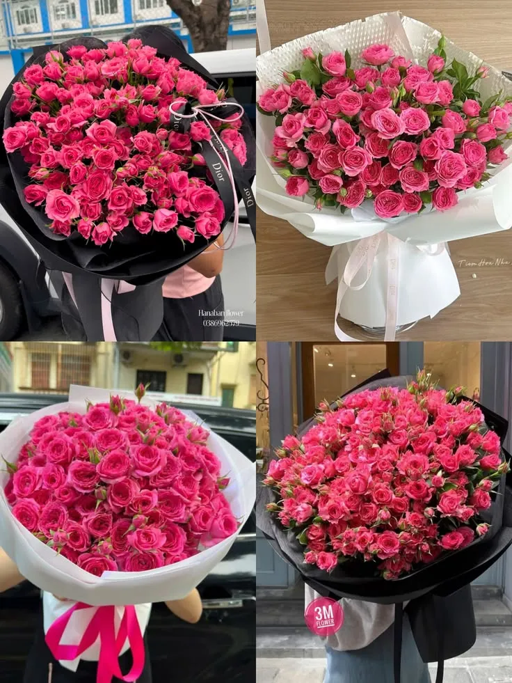 Hoa hồng có những màu gì? tặng hoa hồng người yêu màu gì?