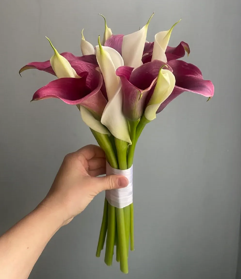 hoa rum hay còn gọi là hoa calla lily