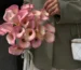 Hoa Calla Lily (hoa rum) có nguồn gốc từ Nam Phi, thuộc họ Ráy. Tìm hiểu đặc điểm, ý nghĩa hoa rum trắng, hồng, vàng, đỏ, tím và cách chăm sóc.