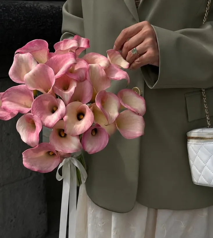 Calla Lily có tên khoa học là Zantedeschia aethiopica