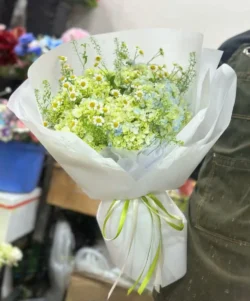 Bó hoa cẩm tú cầu màu xanh bơ mix cúc tana gói giấy trắng