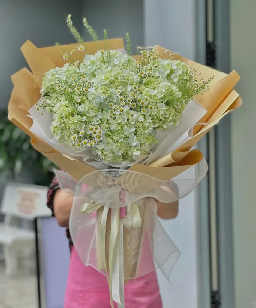 Bó hoa cẩm tú cầu màu xanh bơ mix hoa cúc tana đơn giản