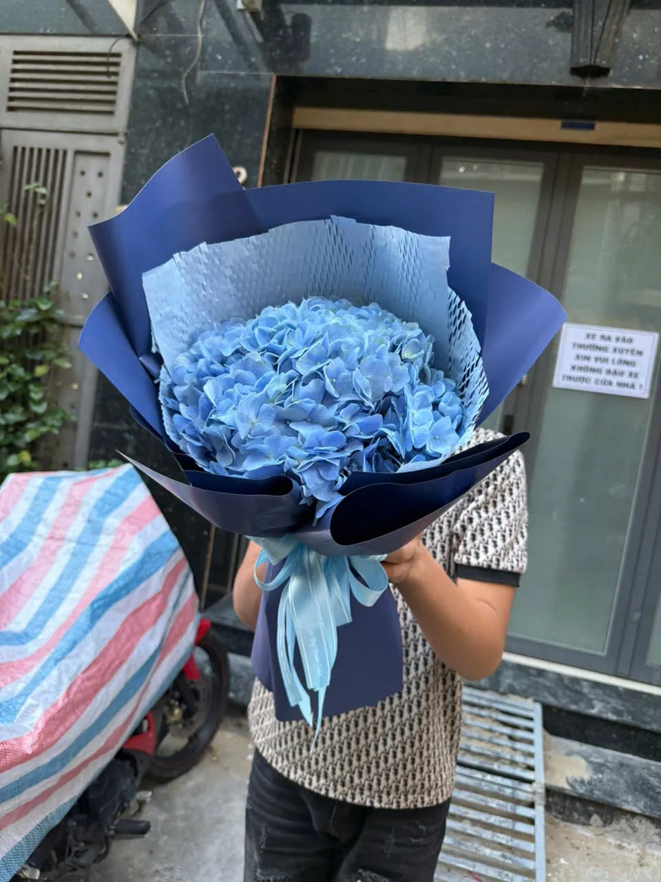 Mẫu bó hoa cẩm tú cầu xanh nhập khẩu, thiết kế đơn giản